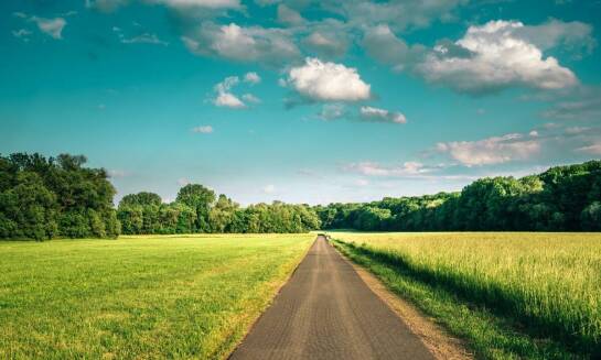 Odkryj trasy do biegania i nordic walking w hotelu spa pod Warszawą