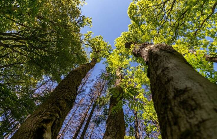 Dlaczego jazda na rowerze wpływa korzystnie na zdrowie?
