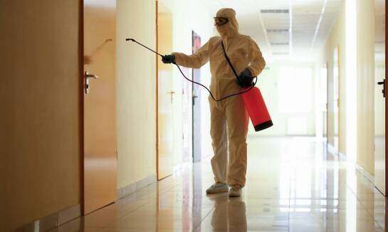 Prewencyjne działania w zakresie usuwania gryzoni – jakie stosujemy?