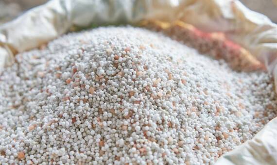 Profesjonalne doradztwo w sklepie ogrodniczym online – jak dobierać nawozy do trawnika?