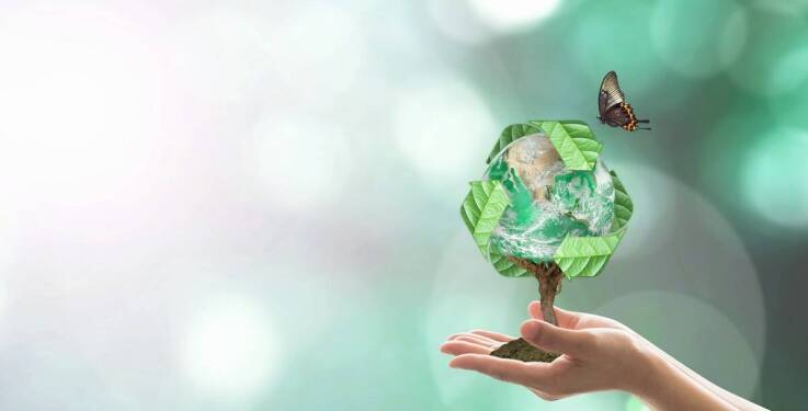 Montaż reklam wieloformatowych w kontekście ochrony środowiska