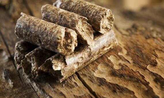 Wpływ pelletu drzewnego sosnowego na środowisko naturalne
