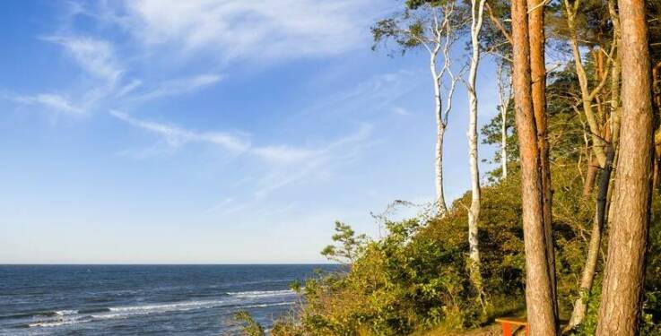 Wicie noclegi - spędź wakacje w domkach z prywatnym tarasem