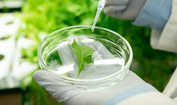 Wpływ maszyn do ozonowania na jakość przechowywanych warzyw i owoców