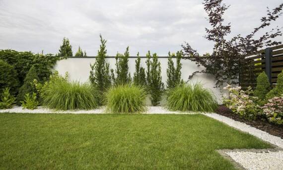 Profesjonalne projektowanie ogrodów - jak stworzyć wymarzoną przestrzeń?