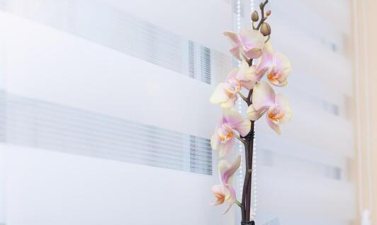 Rolety aluminiowe a zmienne warunki atmosferyczne - wytrzymałość i trwałość