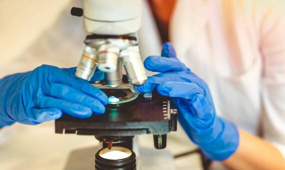 Jakie badania laboratoryjne są wykonywane w diagnostyce zwierząt domowych?