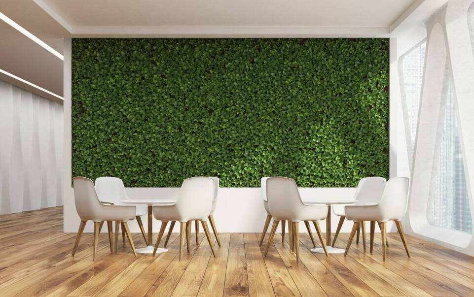 Wertykalne ogrody z roślin stabilizowanych – innowacja w aranżacji wnętrz