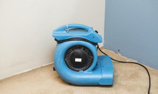 Jak prawidłowo osuszyć piwnicę, aby uniknąć rozwoju grzybów i pleśni?