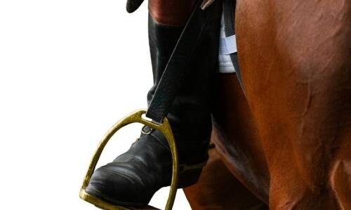 Innowacje w produkcji podków dla koni: co nowego na rynku?