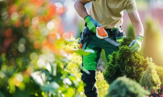 Kompleksowa obsługa ogrodów w praktyce – od projektu do realizacji