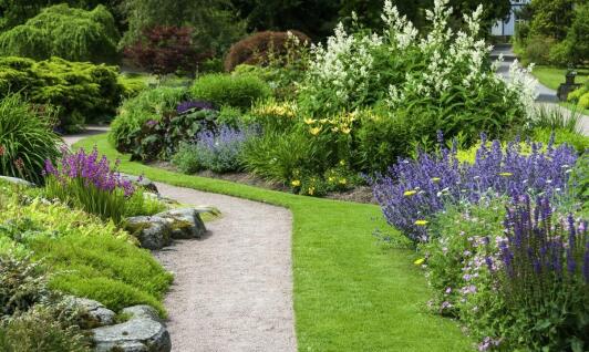 Poradnik wyboru najlepszego rozwiązania do nawadniania ogrodu