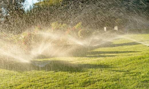 Jak systemy nawadniania wpływają na zdrowie roślin?