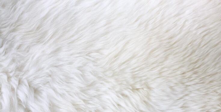 Materiał minky w kontekście ekologii - co warto wiedzieć?