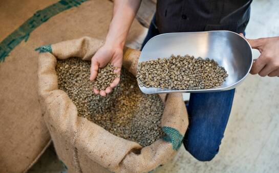 Czym charakteryzuje się brazylijska kawa?