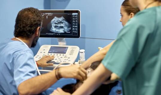 Jakie innowacyjne technologie wspierają zabiegi weterynaryjne?