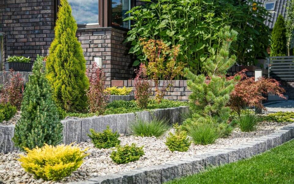 Jakie krzewy ozdobne nadają się do ogrodu w stylu nowoczesnym?