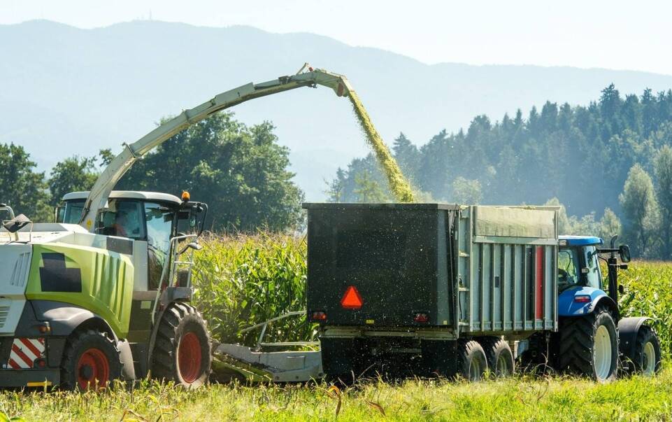 Dlaczego warto zaufać doświadczeniu w skupie kukurydzy z dowozem?
