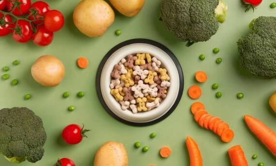 Jakie karmy suche dla psów małych są najlepsze dla wrażliwych żołądków?