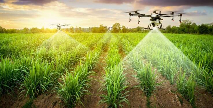 Jak mapowanie szkód rolniczych może zwiększyć efektywność gospodarstw?