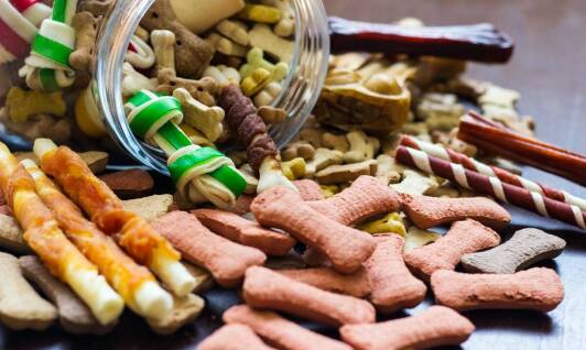 Batony dla psa jako idealna przekąska podczas treningu i zabawy