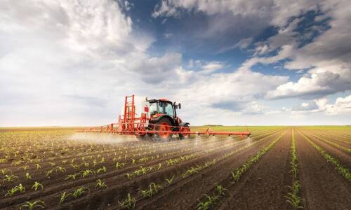 Jak zwiększyć wydajność upraw dzięki precyzyjnemu stosowaniu herbicydów?
