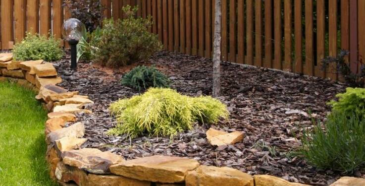 Jakie miejsca w ogrodzie warto wysypać korą?