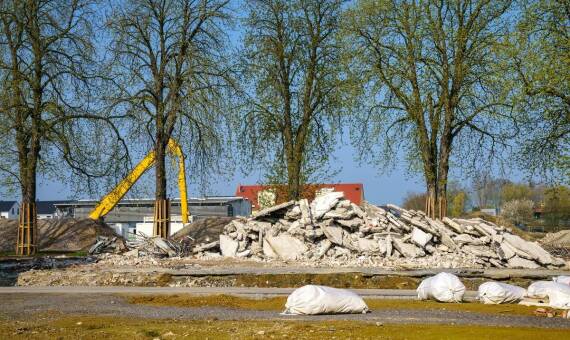 Wycinka drzew a bezpieczeństwo budynków – kluczowe aspekty w Gdyni