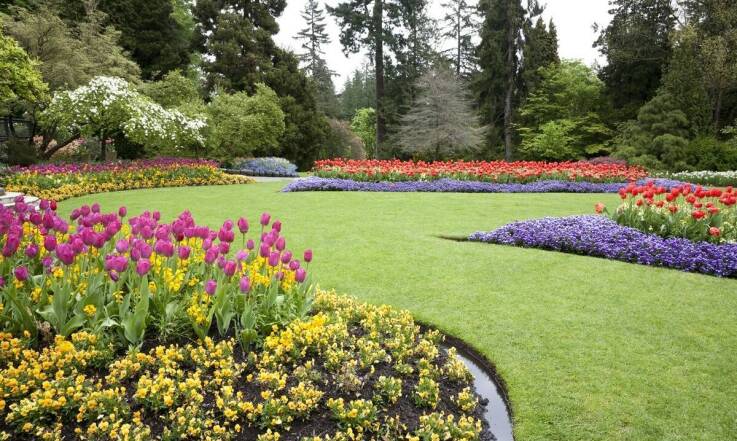 Chemia ogrodnicza a zdrowie gleby – jak dbać o równowagę ekosystemu?