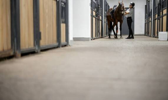 Leczenie niedoborów żywieniowych u koni - znaczenie diagnostyki