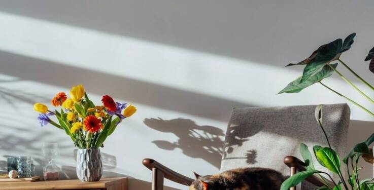 Co warto wiedzieć o personelu opiekującym się kotami w warszawskim hotelu?