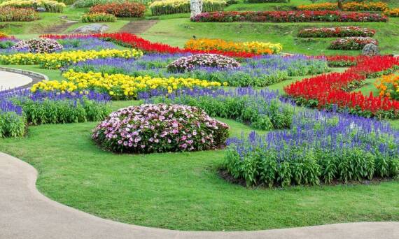 Różnorodność bylin w szkółce roślin i ich zastosowanie w ogrodzie