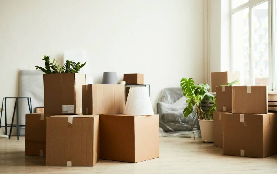 Jakie materiały pakowe oferują firmy przeprowadzkowe?