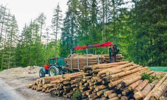 Zalety wyboru drewna iglastego z tartaku Oława dla projektów budowlanych