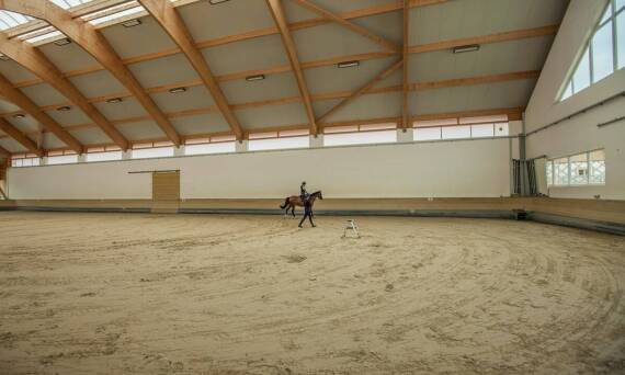 Jak nasza hodowla koni nad Wigrami wspiera rozwój sportowy amatorów i profesjonalistów?