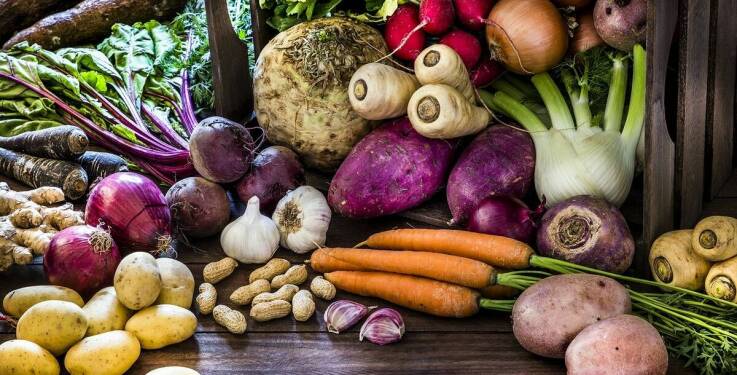 Jak dietetyk kliniczny wspiera osoby starsze w utrzymaniu zdrowia?