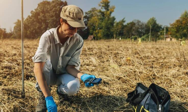 Jakie są alternatywy dla wycinki drzew w kontekście ochrony środowiska?