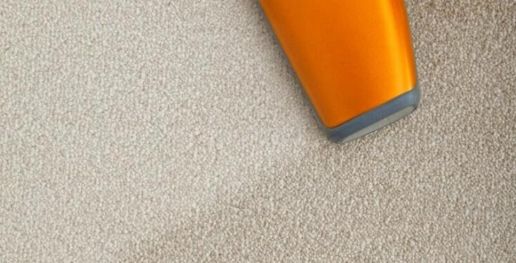 Jakie są korzyści z prania dywanów z usunięciem sierści zwierząt?