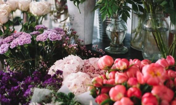 Hurtownia kwiatów – kluczowe cechy zdrowych roślin w naszej ofercie