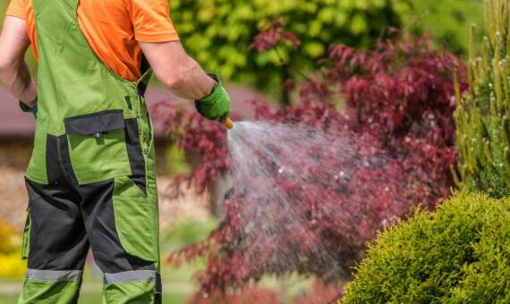 Jakie akcesoria do pielęgnacji trawnika są niezbędne dla jego zdrowego wzrostu?