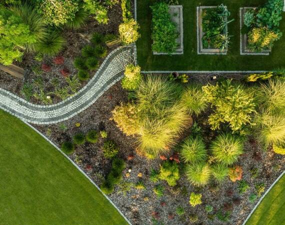 Zasady łączenia różnych gatunków roślin ozdobnych w jednym ogrodzie