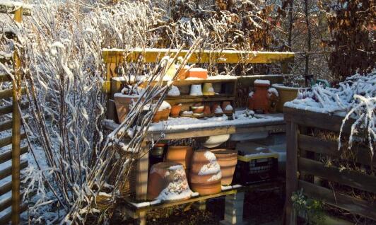 Zabezpieczanie roślin przed zimą: jak profesjonalna firma może pomóc?