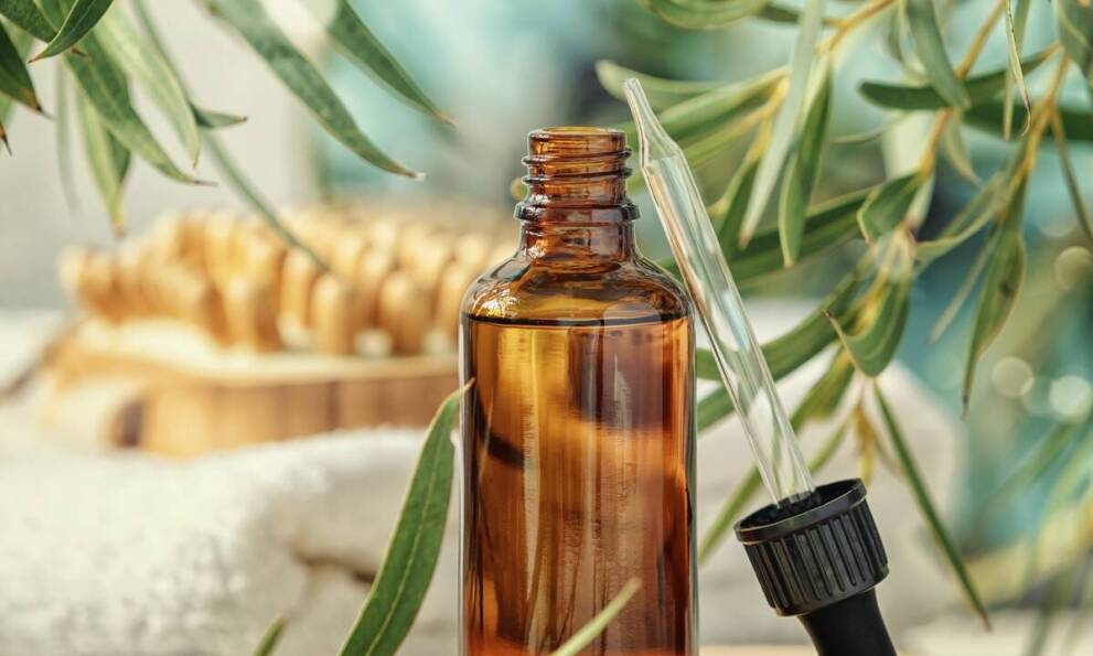 Jak stworzyć domowe spa z użyciem naturalnego olejku eterycznego eukaliptusowego?