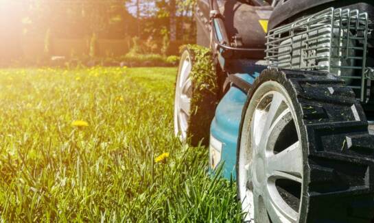 Ekologiczne aspekty używania robotów koszących w ogrodzie