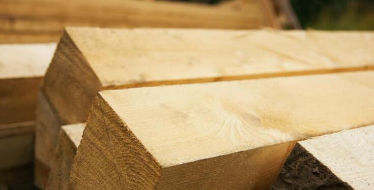 Skład drewna i jego rola w realizacji ekologicznych konstrukcji