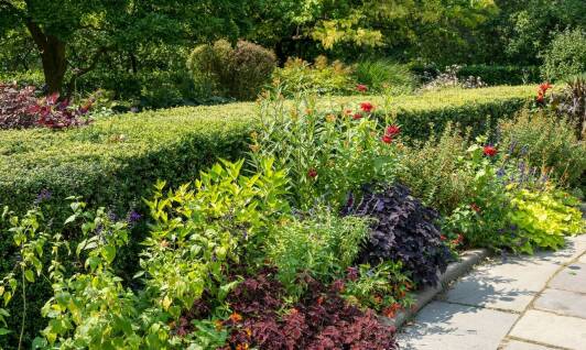 Ziemia ogrodowa a rozwój roślin - kluczowe zalety jakościowych produktów