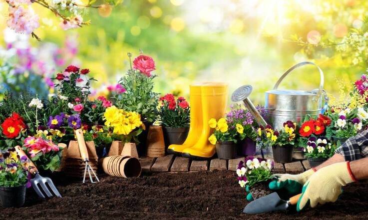 Wypożyczalnia sprzętu ogrodniczego – jakie maszyny warto wynająć na wiosnę?