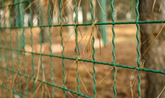 Jakie są najważniejsze zalety użycia gwoździ w konstrukcji ogrodzeń?