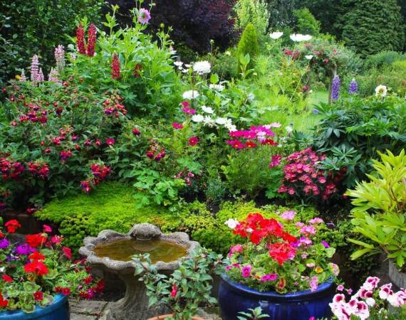 Znaczenie ochrony roślin w przestrzeniach miejskich