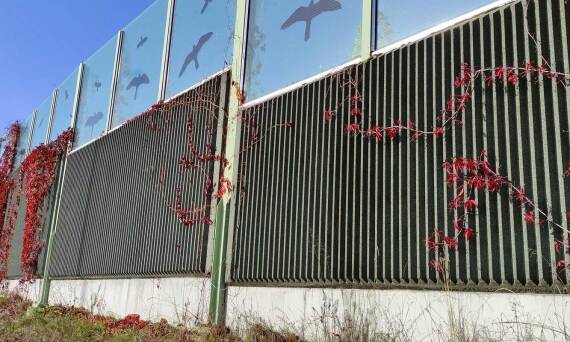 Nowoczesne rozwiązania w montażu zabezpieczeń przeciwko ptakom